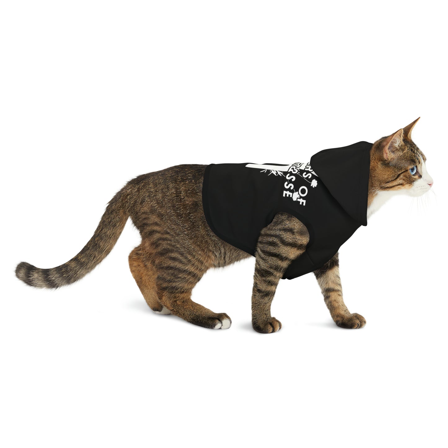 Dog/Cat Hoodie | Villagers of Mainstrasse VOM Words w/ Sights