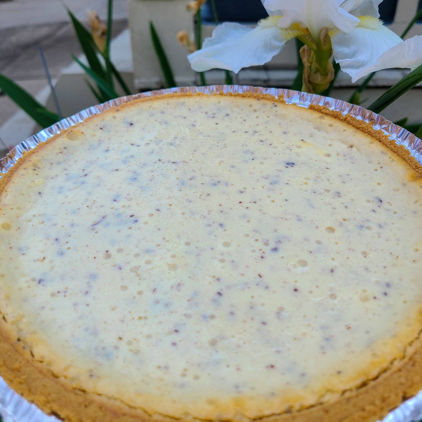 The "You Wanna Try This" Chocolate Chip Cheesecake | Old Man Tom's