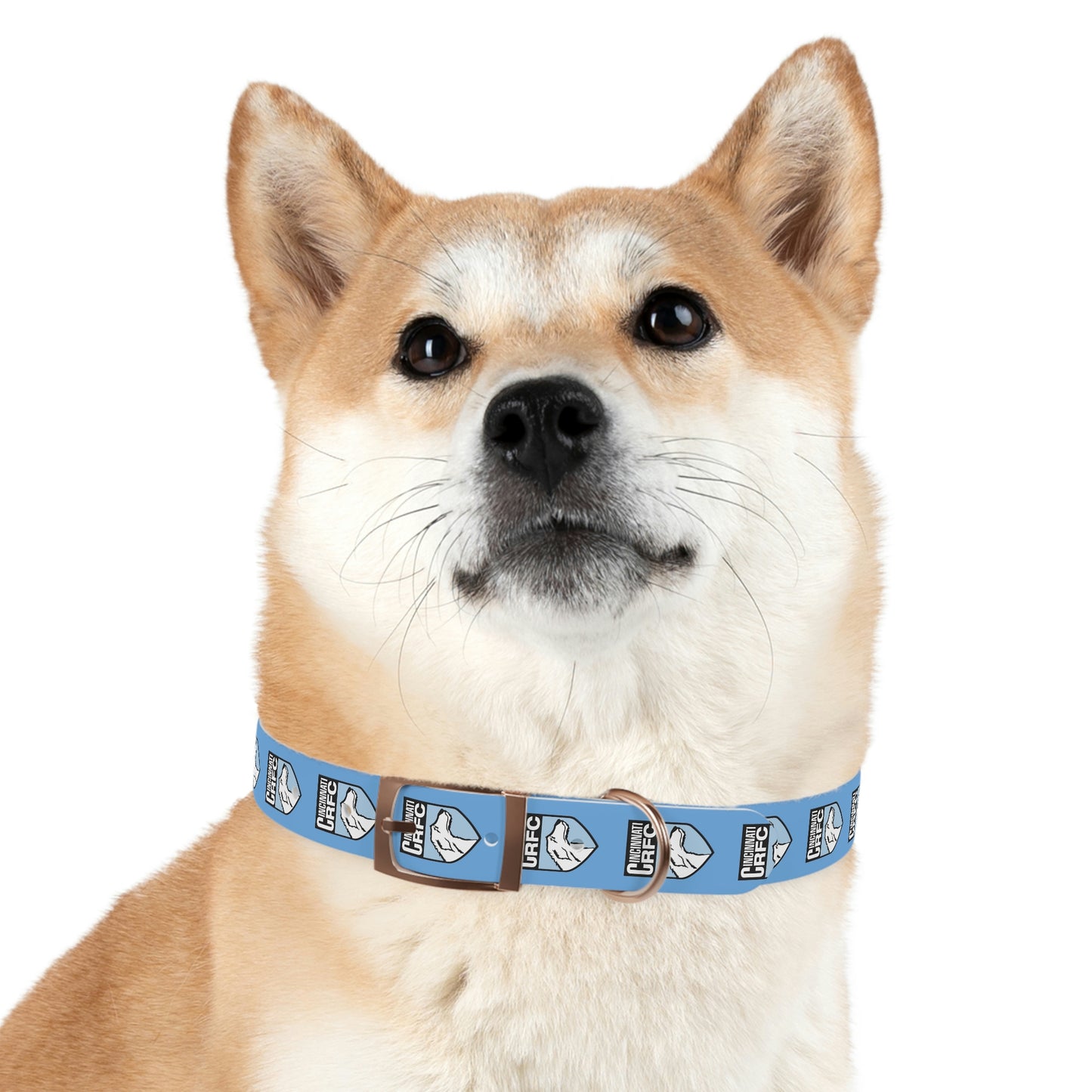 Dog Collar | CRFC Wolfhounds Blue Crest