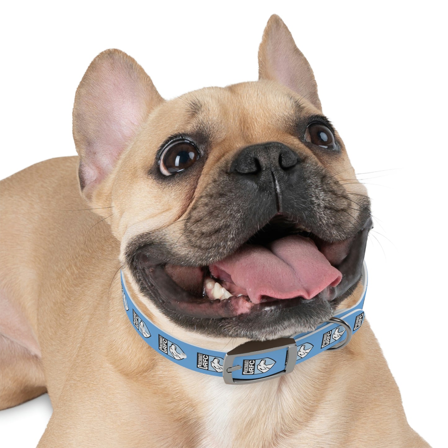 Dog Collar | CRFC Wolfhounds Blue Crest