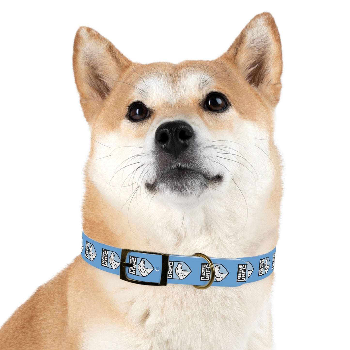 Dog Collar | CRFC Wolfhounds Blue Crest