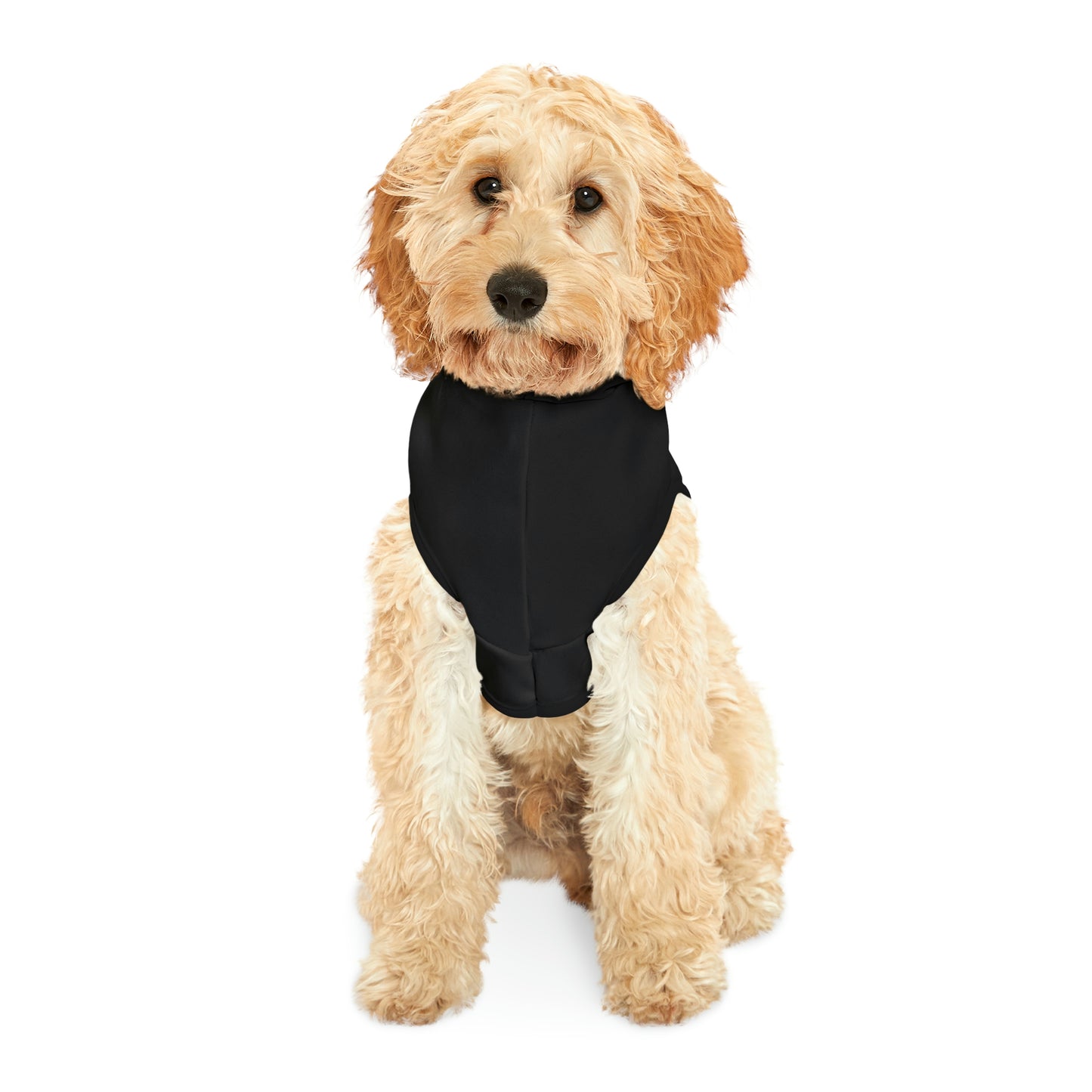 Dog Hoodie | CRFC Wolfhounds Blue Crest