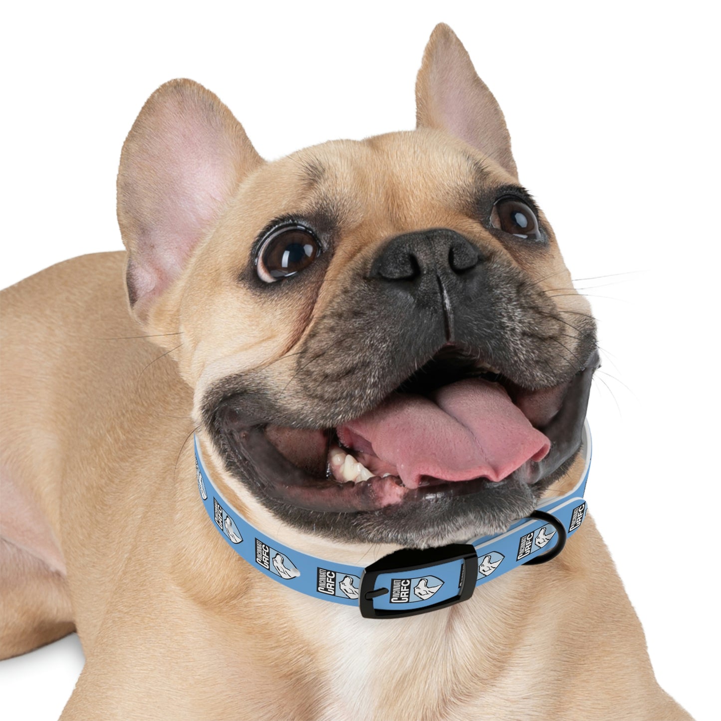 Dog Collar | CRFC Wolfhounds Blue Crest