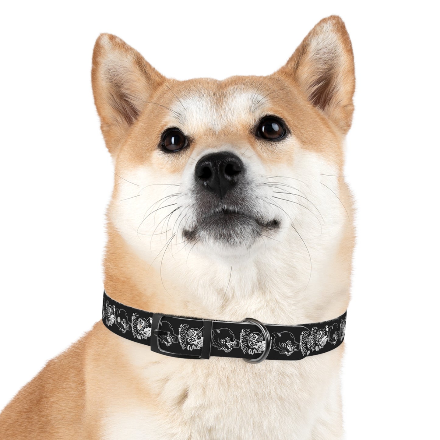 Dog Collar | Gypsy's Double Gypsy Lady (by @ohbhave)