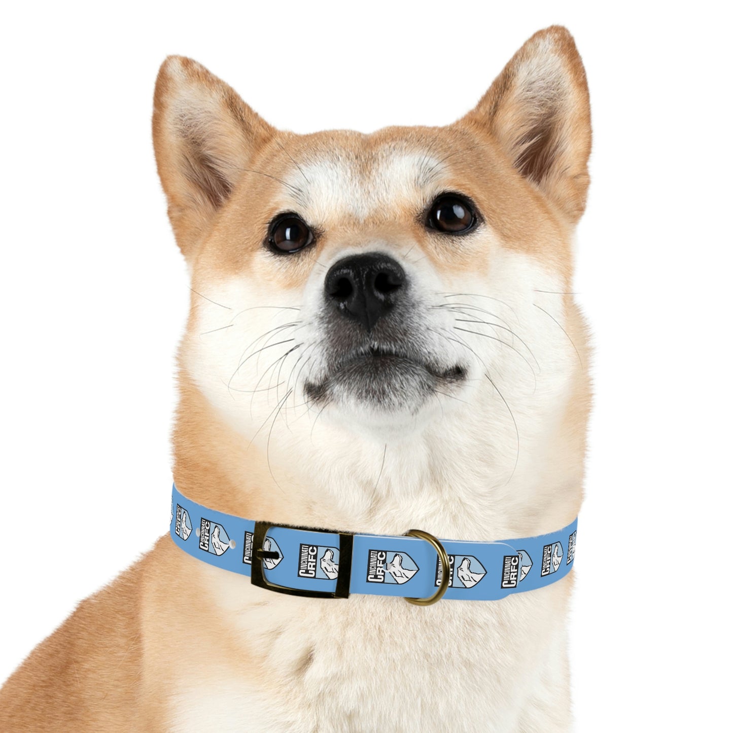 Dog Collar | CRFC Wolfhounds Blue Crest