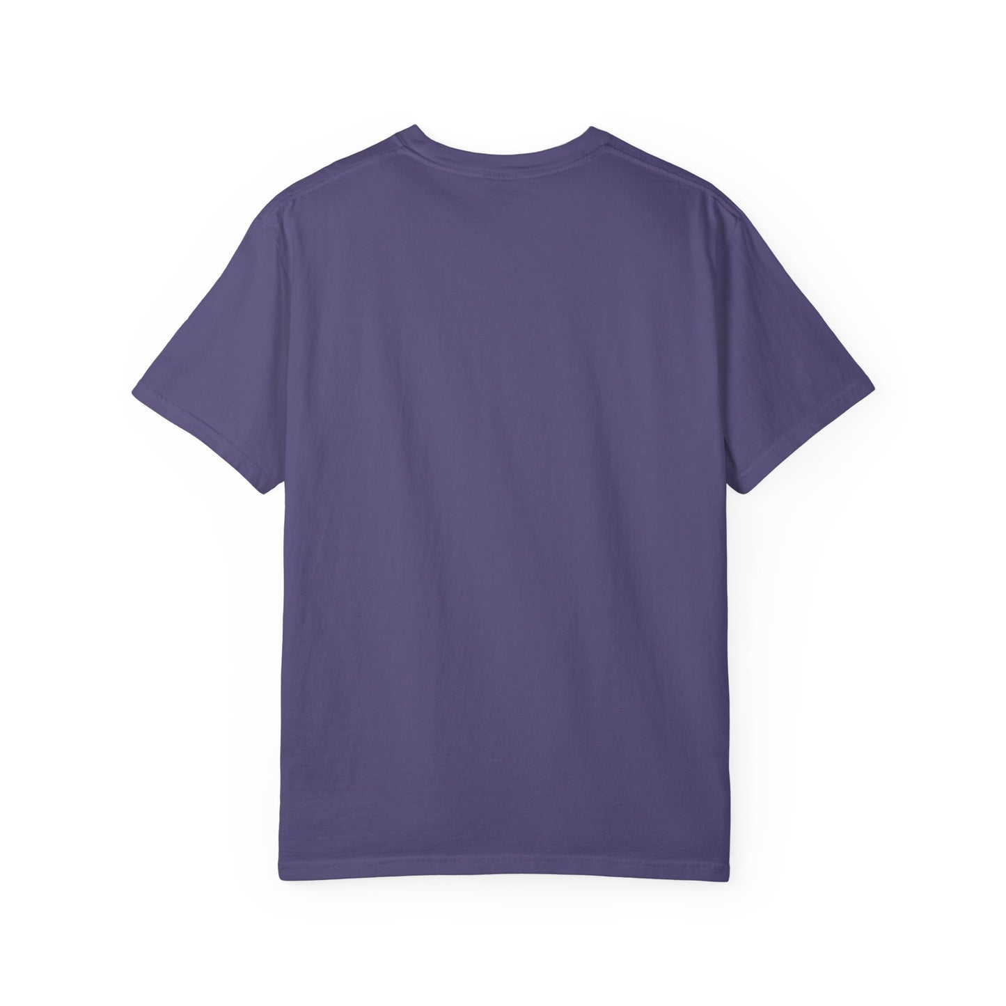 Unisex Comfort Colors T-shirt | Villagers of Mainstrasse VOM Social Clean