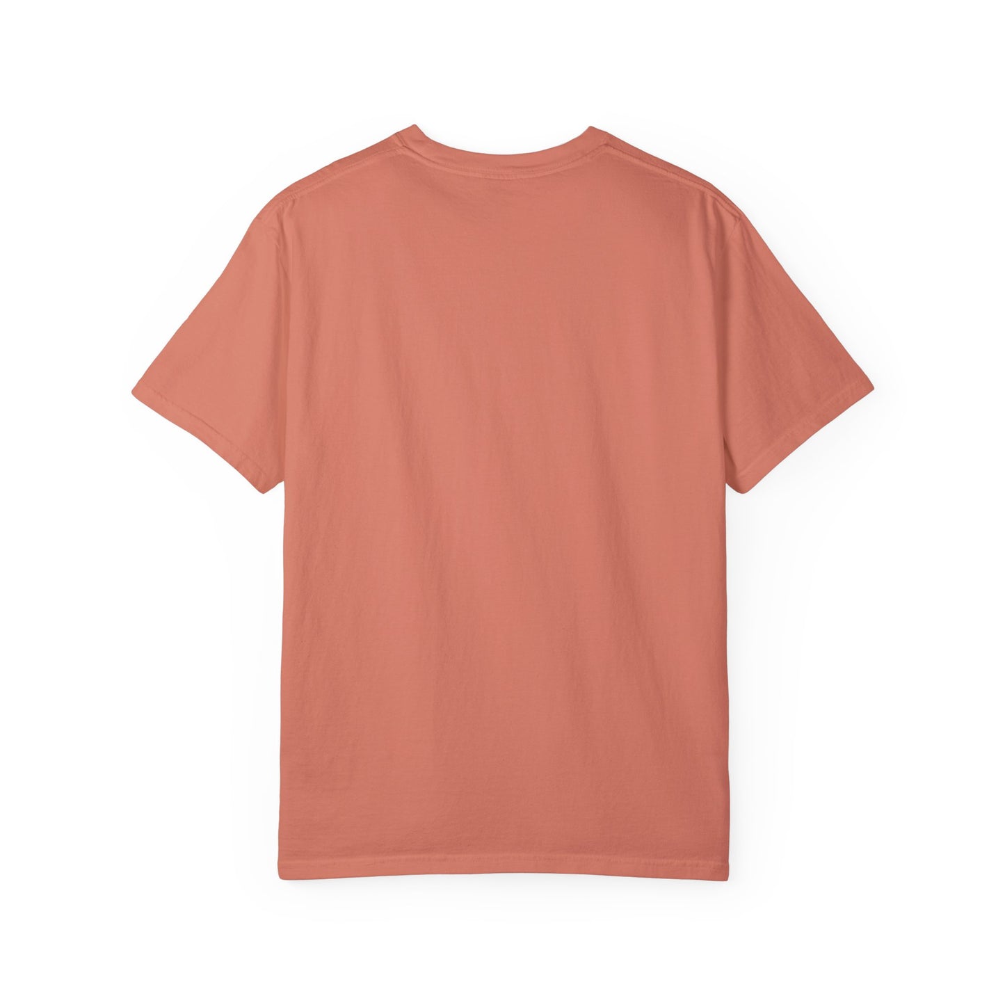 Unisex Comfort Colors T-shirt | Villagers of Mainstrasse VOM Social Clean