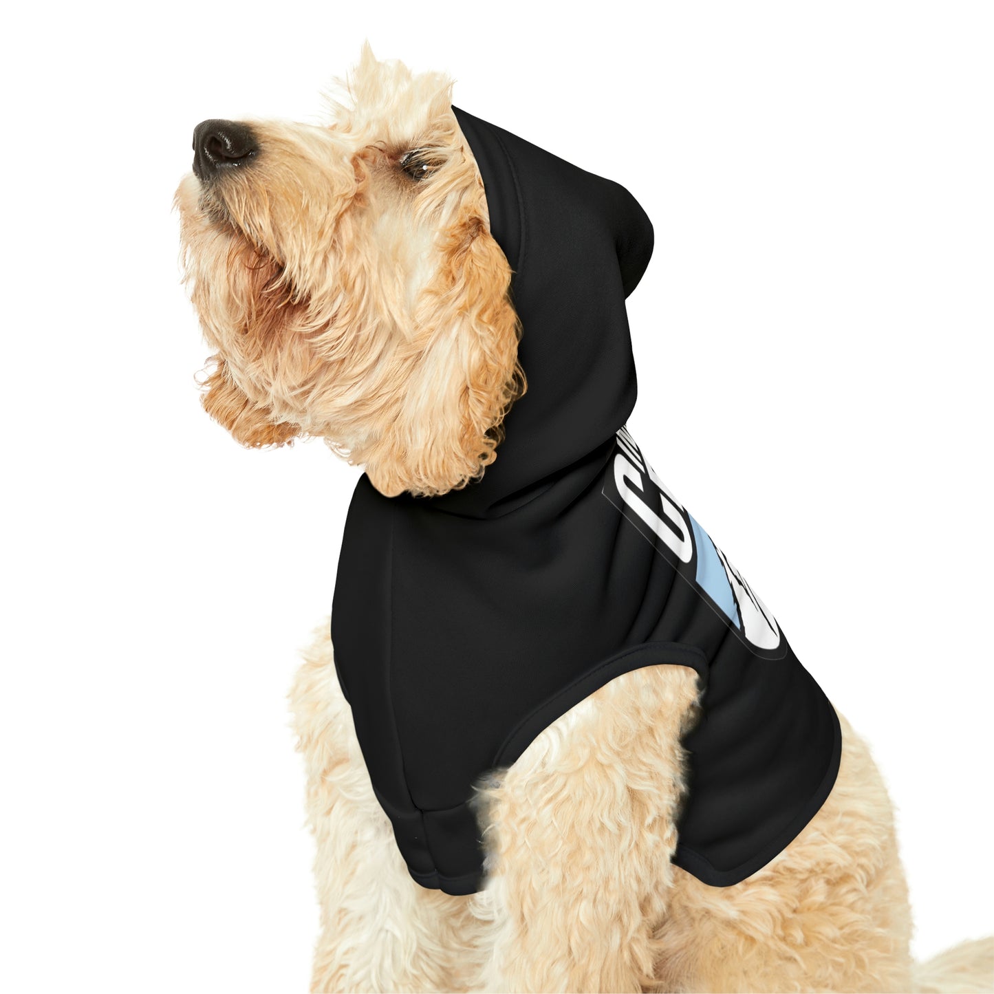 Dog Hoodie | CRFC Wolfhounds Blue Crest