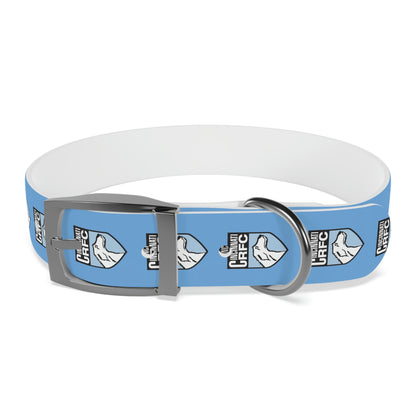 Dog Collar | CRFC Wolfhounds Blue Crest